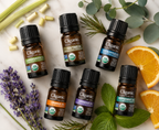 USDA Organic Essential Oils Set | 6 Pure Aromatherapy Oils Gift Collection