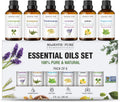 Pure Essence Essential Oils Set - 6 x 10ml